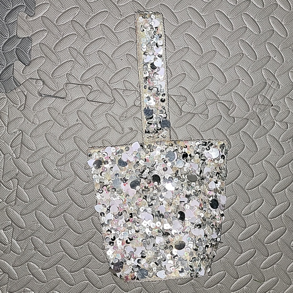 Small silvery bag